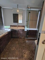 Suites @ Cairnhill (D9), Apartment #496053011
